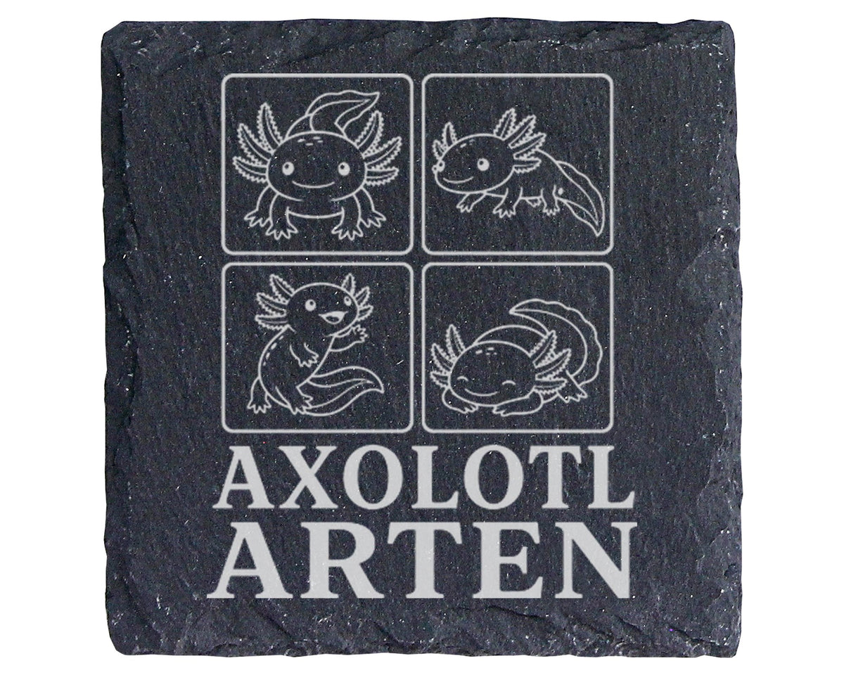 Schiefer Untersetzer Axolotl Arten - Süßes Geschenk für Aquarium Fans  – Bild 1