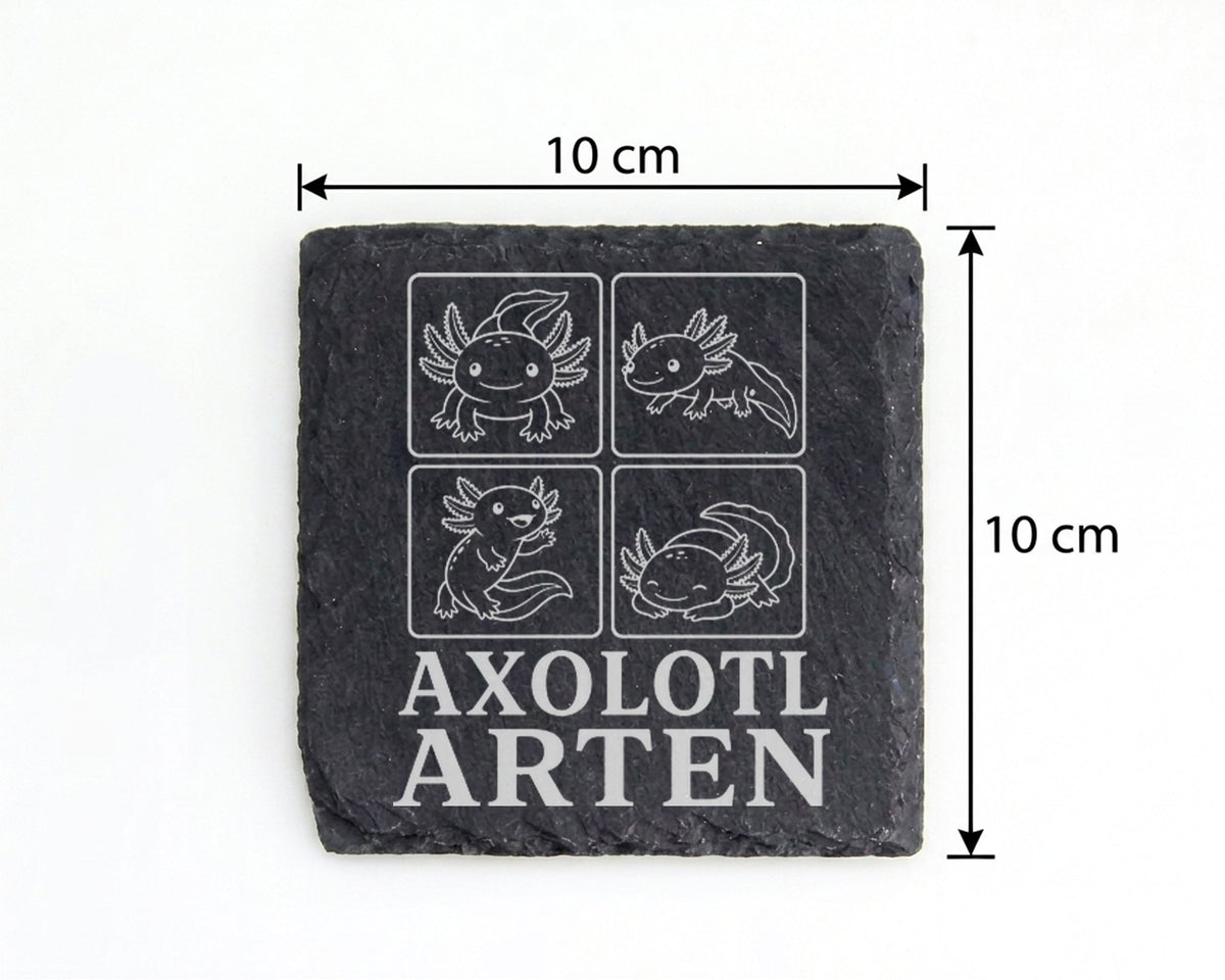 Schiefer Untersetzer Axolotl Arten - Süßes Geschenk für Aquarium Fans  – Bild 4