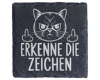 Schiefer Untersetzer Katze Erkenne Die Zeichen Mittelfinger - Lustiges – Bild 1