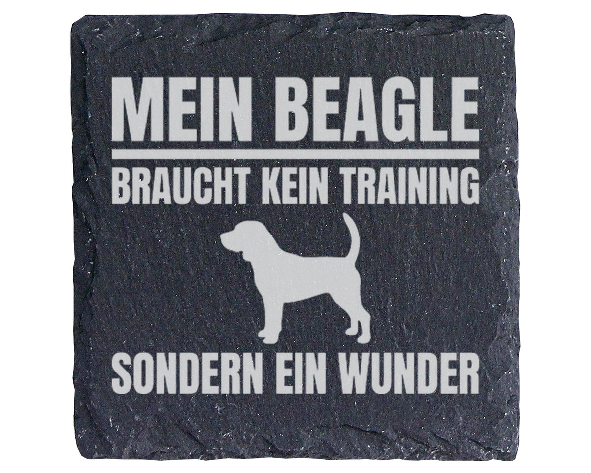 Schiefer Untersetzer Beagle Braucht Kein Training Sondern Ein Wunder - – Bild 1